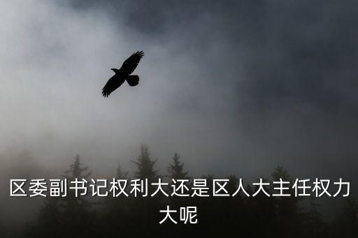 區(qū)委副書記權(quán)利大還是區(qū)人大主任權(quán)力大呢