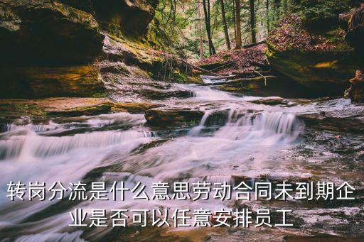 轉(zhuǎn)崗，事業(yè)單位工人轉(zhuǎn)崗是什么意思