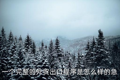 一個完整的外貿(mào)出口程序是怎么樣的急