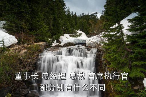 執(zhí)行長(zhǎng)，董事長(zhǎng) 總經(jīng)理 總裁 首席執(zhí)行官 都分別有什么不同