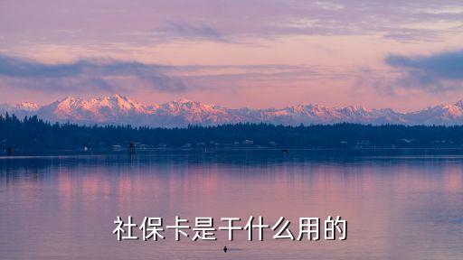 社保卡是干什么的，社?？ㄊ歉墒裁从玫?/></a></span><span id=