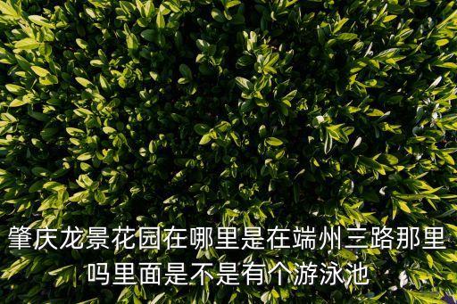 肇慶龍景花園在哪里是在端州三路那里嗎里面是不是有個游泳池