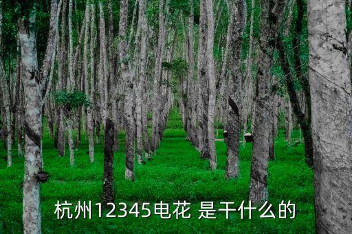 杭州市市長(zhǎng)熱線，057112345是什么電話