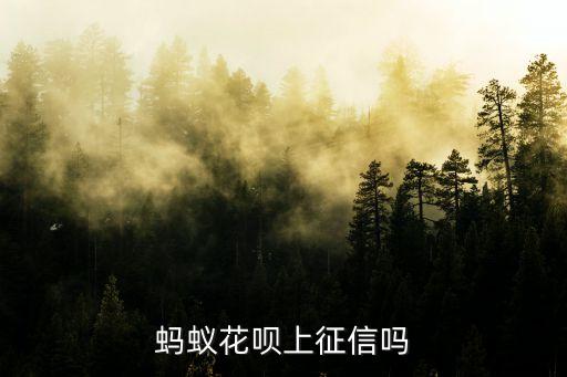 螞蟻花唄上征信嗎