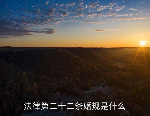 法律第二十二條婚規(guī)是什么