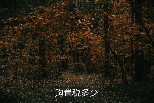 購置稅多少
