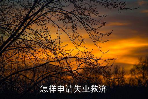 怎樣申請(qǐng)失業(yè)救濟(jì)