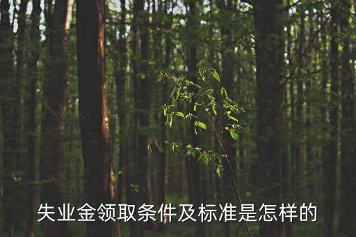領(lǐng)取失業(yè)金，失業(yè)補(bǔ)助金領(lǐng)取條件是什么