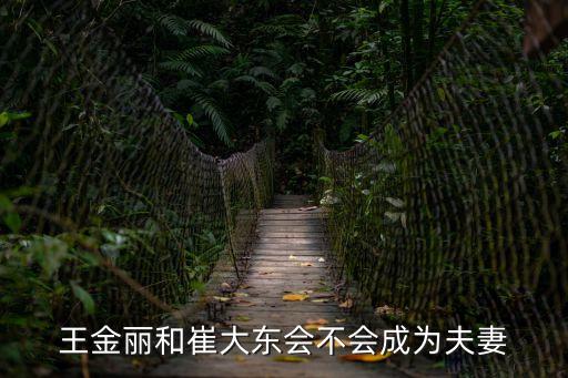 王金麗和崔大東會不會成為夫妻