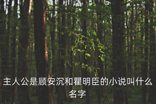 主人公是顧安沉和瞿明臣的小說叫什么名字