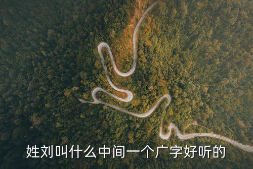 姓劉叫什么中間一個(gè)廣字好聽的