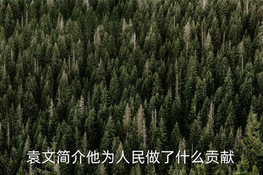 袁文簡介他為人民做了什么貢獻