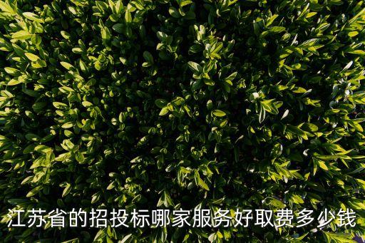 江蘇省的招投標(biāo)哪家服務(wù)好取費(fèi)多少錢