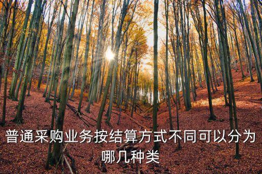 普通采購業(yè)務(wù)按結(jié)算方式不同可以分為哪幾種類