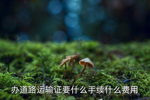 道路運(yùn)輸證，道路運(yùn)輸證怎么辦理