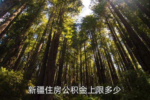 烏魯木齊公積金，烏魯木齊個人怎么在網(wǎng)上查詢公積金信息公積