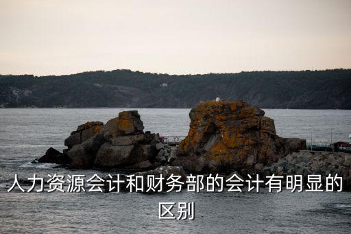 人力資源會(huì)計(jì)和財(cái)務(wù)部的會(huì)計(jì)有明顯的區(qū)別