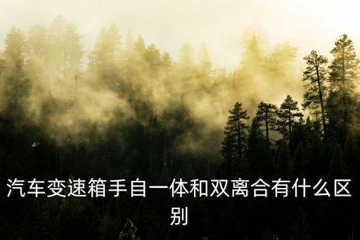 汽車變速箱手自一體和雙離合有什么區(qū)別
