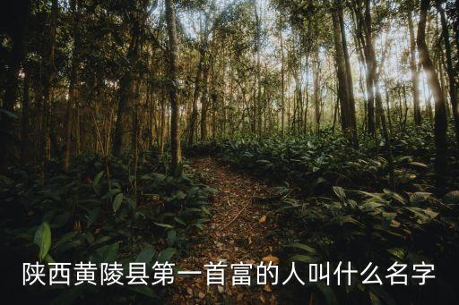 陜西黃陵縣第一首富的人叫什么名字