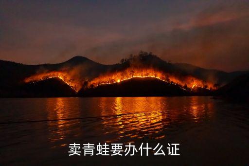 賣青蛙，賣牛蛙違法嗎