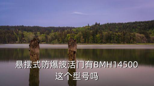 懸擺式防爆波活門有BMH14500這個型號嗎