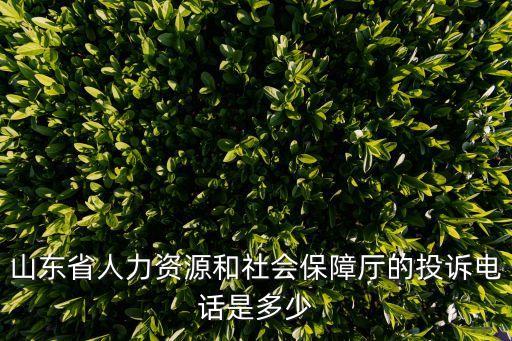 山東社保局，山東省人力資源和社會(huì)保障廳的投訴電話是多少