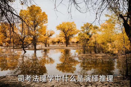 演繹推理，法律邏輯學(xué)演繹推理的名詞解釋