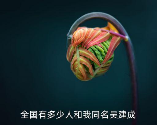全國有多少人和我同名吳建成