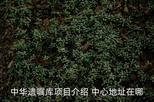 中華遺囑庫(kù)，查詢中華遺囑庫(kù)需要在老人走之后嗎