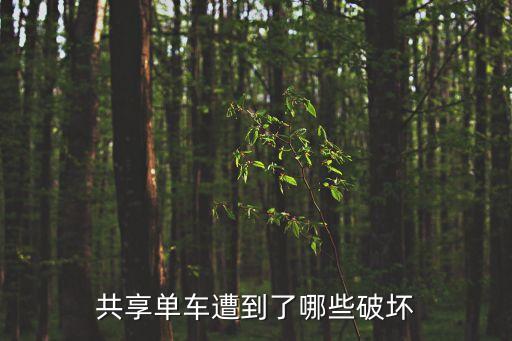 共享單車遭到了哪些破壞