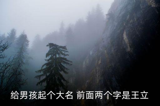 王立文，全國有多少人和你同名同姓王立文