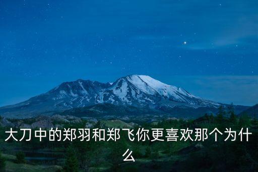 鄭飛，大刀中的鄭羽和鄭飛你更喜歡那個為什么