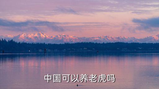 養(yǎng)老虎，可以養(yǎng)老虎嗎