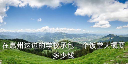 在惠州這邊的學(xué)校承包一個(gè)飯?zhí)么蟾乓嗌馘X