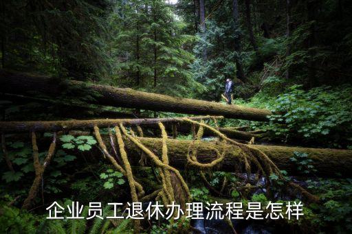 企業(yè)員工退休辦理流程是怎樣