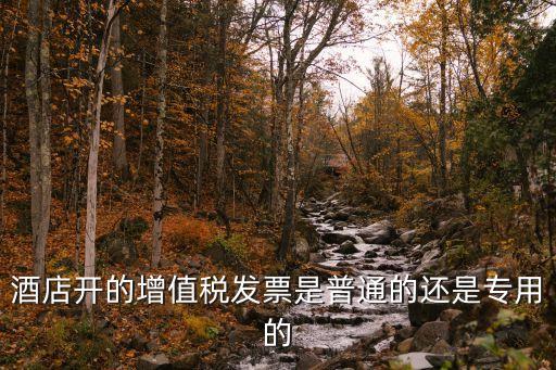 酒店發(fā)票，酒店開(kāi)的增值稅發(fā)票是普通的還是專(zhuān)用的