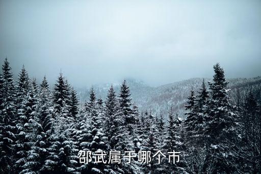 邵武屬于哪個(gè)市，邵武屬于哪個(gè)市