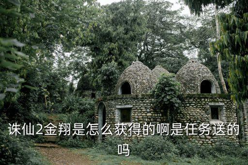 金翔，金翔名字意味什么
