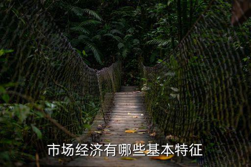 市場經(jīng)濟(jì)的特征，市場經(jīng)濟(jì)的基本特征