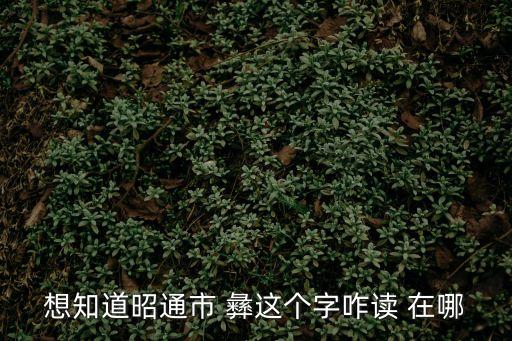 想知道昭通市 彝這個字咋讀 在哪