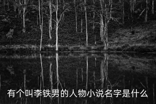 有個叫李鐵男的人物小說名字是什么