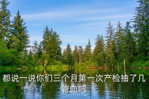 九管血，都說(shuō)一說(shuō)你們?nèi)齻€(gè)月第一次產(chǎn)檢抽了幾管血吧