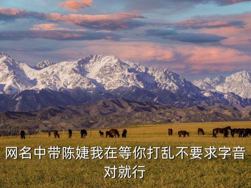 網(wǎng)名中帶陳婕我在等你打亂不要求字音對就行