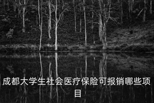 成都大學(xué)生社會醫(yī)療保險可報銷哪些項目