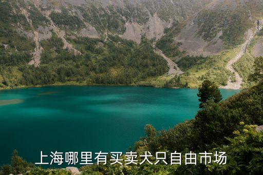 上海哪里有買(mǎi)賣(mài)犬只自由市場(chǎng)