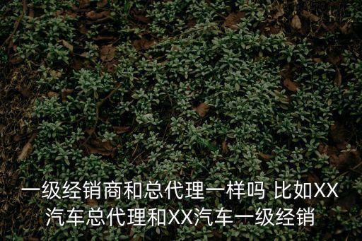 一級(jí)經(jīng)銷(xiāo)商和總代理一樣嗎 比如XX汽車(chē)總代理和XX汽車(chē)一級(jí)經(jīng)銷(xiāo)