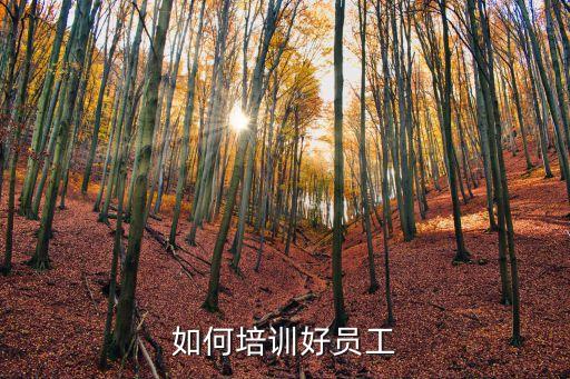 指導(dǎo)員工，如何培訓(xùn)好員工