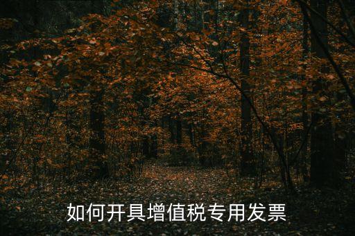 增值稅專用發(fā)票，增值稅專用發(fā)票
