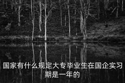 國(guó)家有什么規(guī)定大專(zhuān)畢業(yè)生在國(guó)企實(shí)習(xí)期是一年的