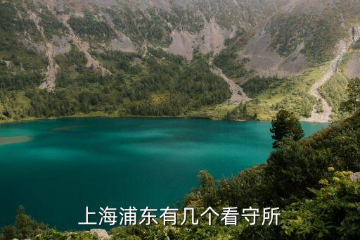 上?？词厮?，上海浦東有幾個看守所